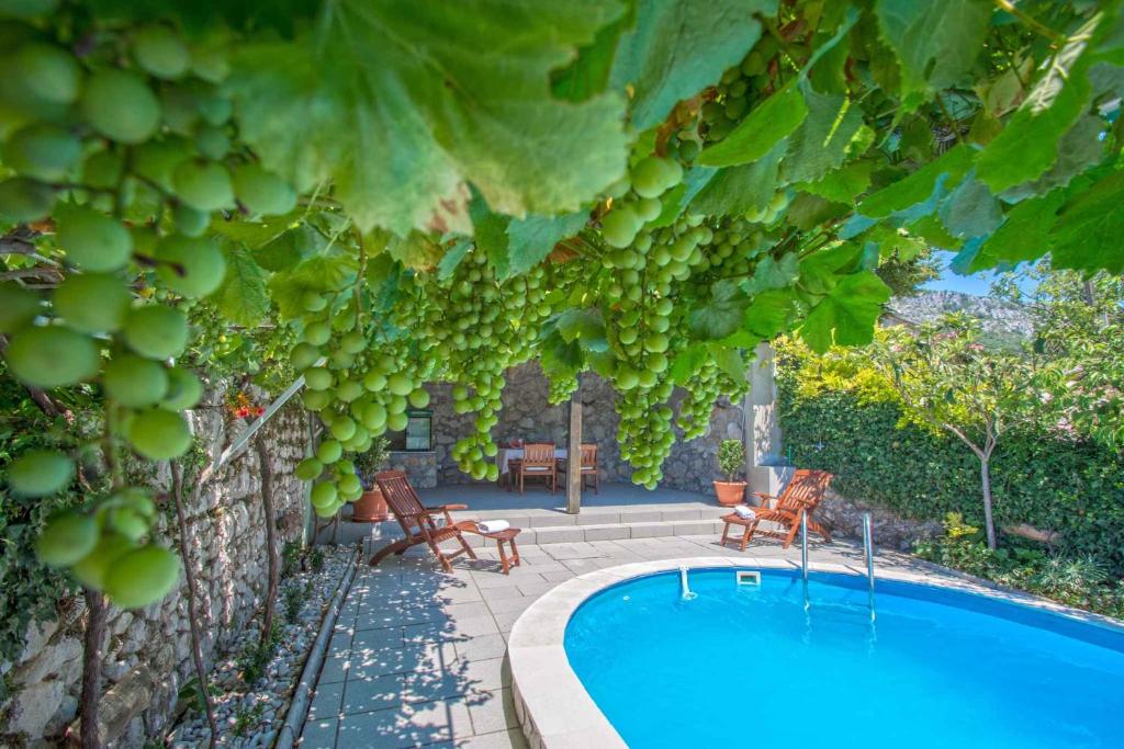 Holiday home in Grizane 5373 photo 1