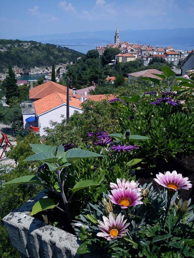 Apartment Vrbnik 6 photo 3
