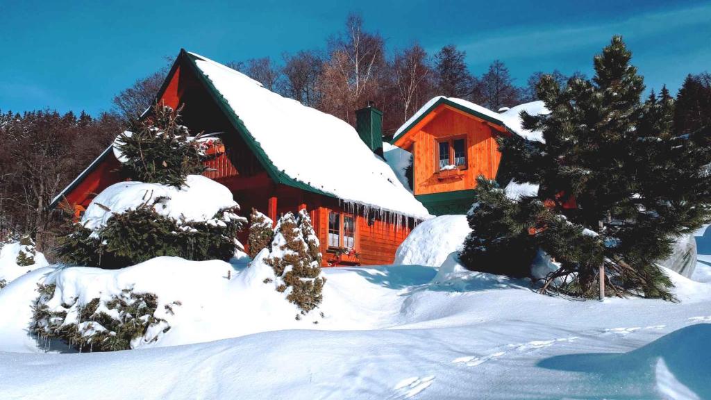 Holiday home Marianska/Erzgebirge 1683 photo 1