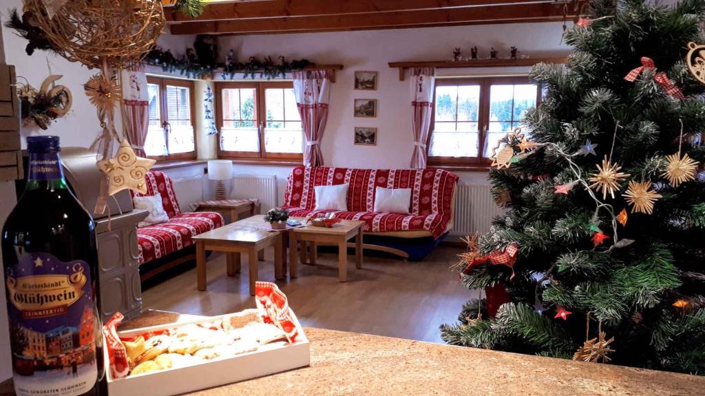 Holiday home Marianska/Erzgebirge 1683 photo 2