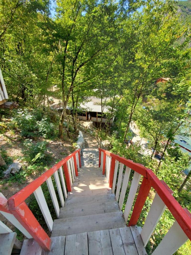 Blini-Park Guesthouse photo 2