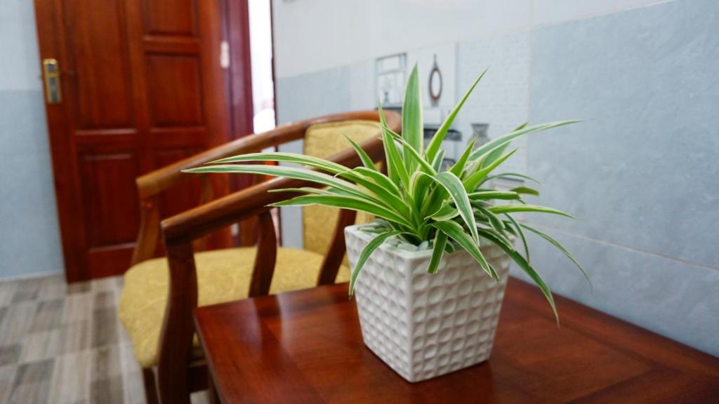 Homestay Bảo Trân