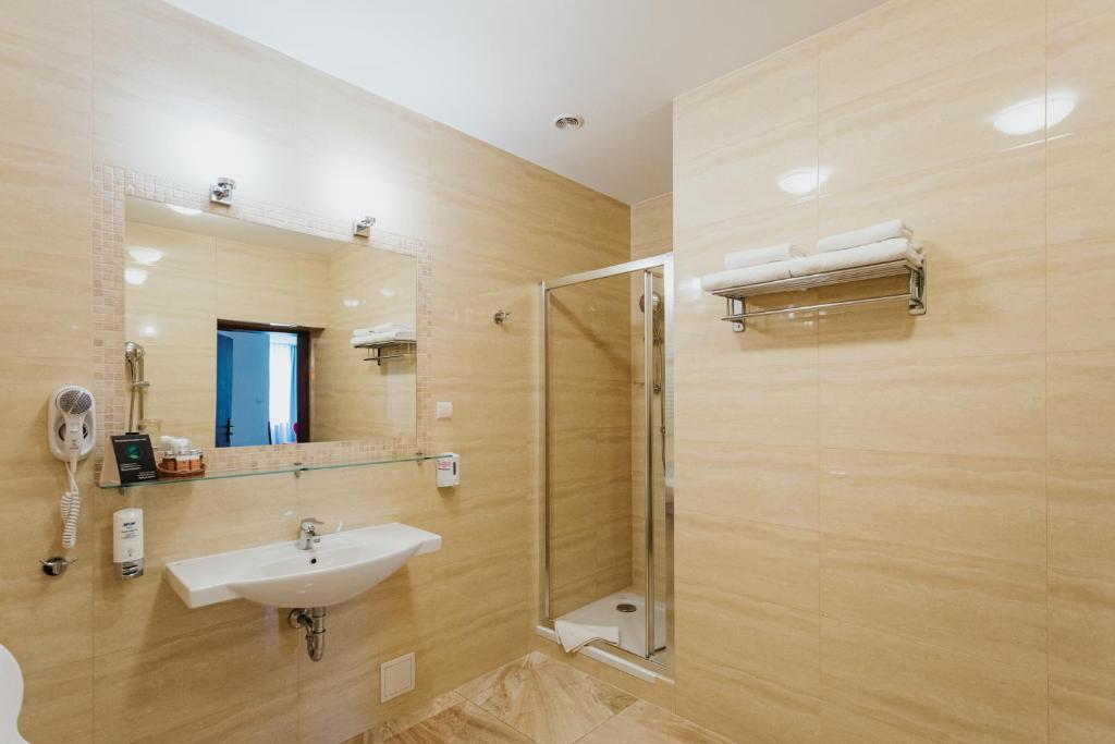 Двухместный (Двухместный номер Делюкс с 1 кроватью), Hotel Jan