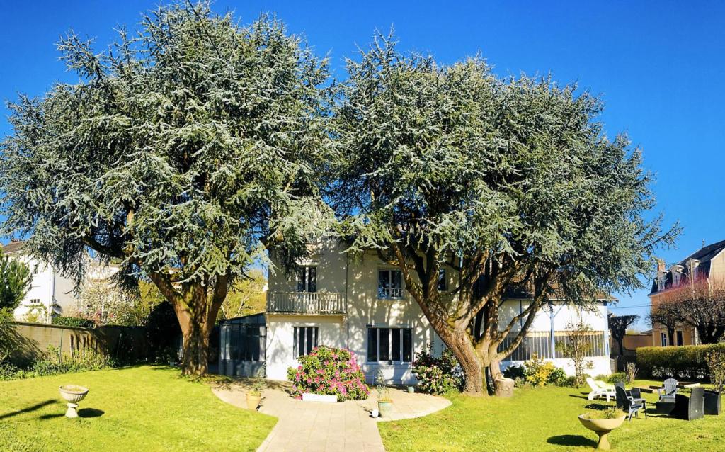 Chambres d'hôtes La Maison Blanche photo 3