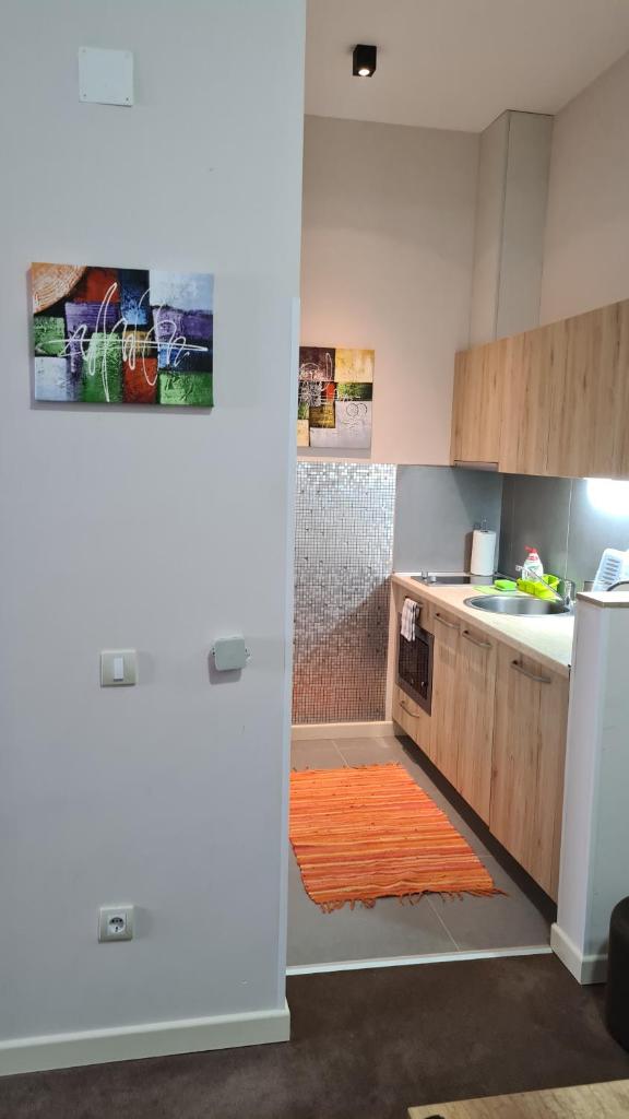 Apartman No1,Župa Wellness & Spa Kopaonik photo 1