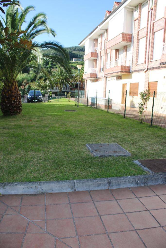 Las palmeras photo 3