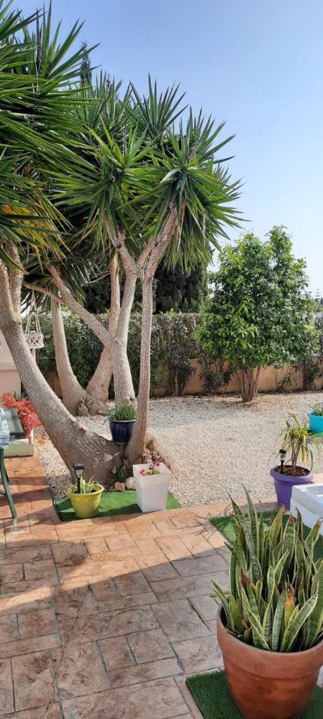 Villa Anastassia photo 1