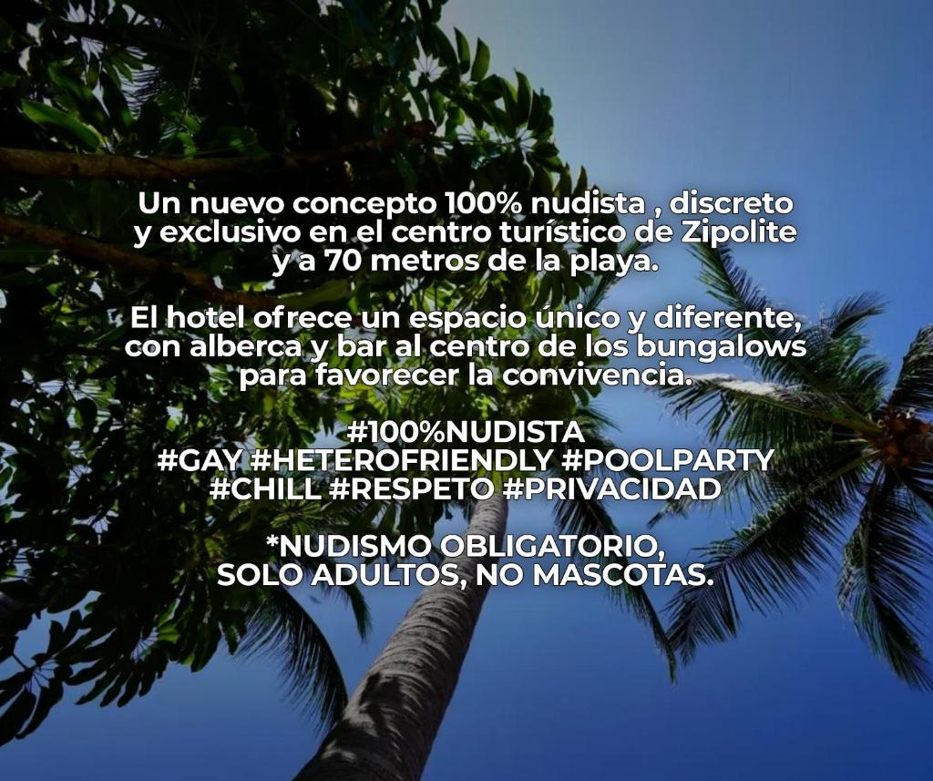 Casa Nudista - LGBT Hotel photo 3