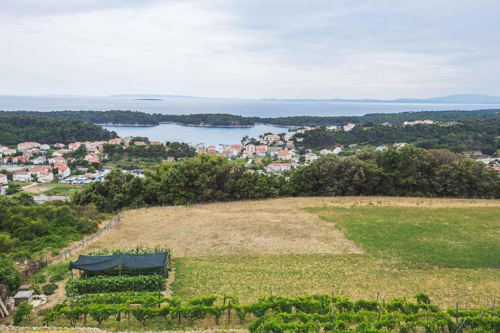 Apartments in Rab/Insel Rab 16117 photo 4