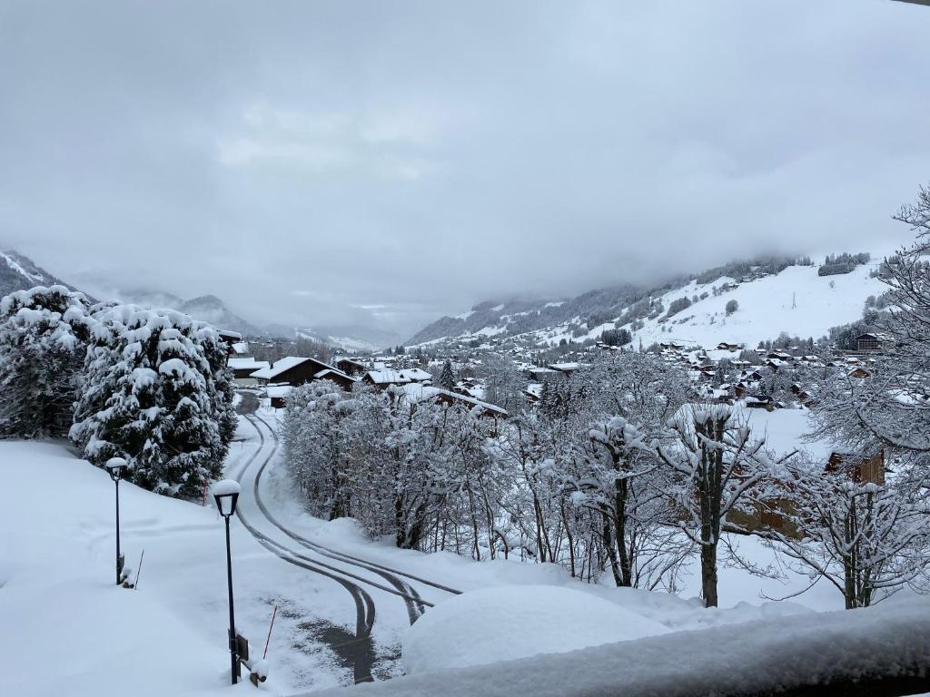 CHALET " JEANE " proche centre - 전망