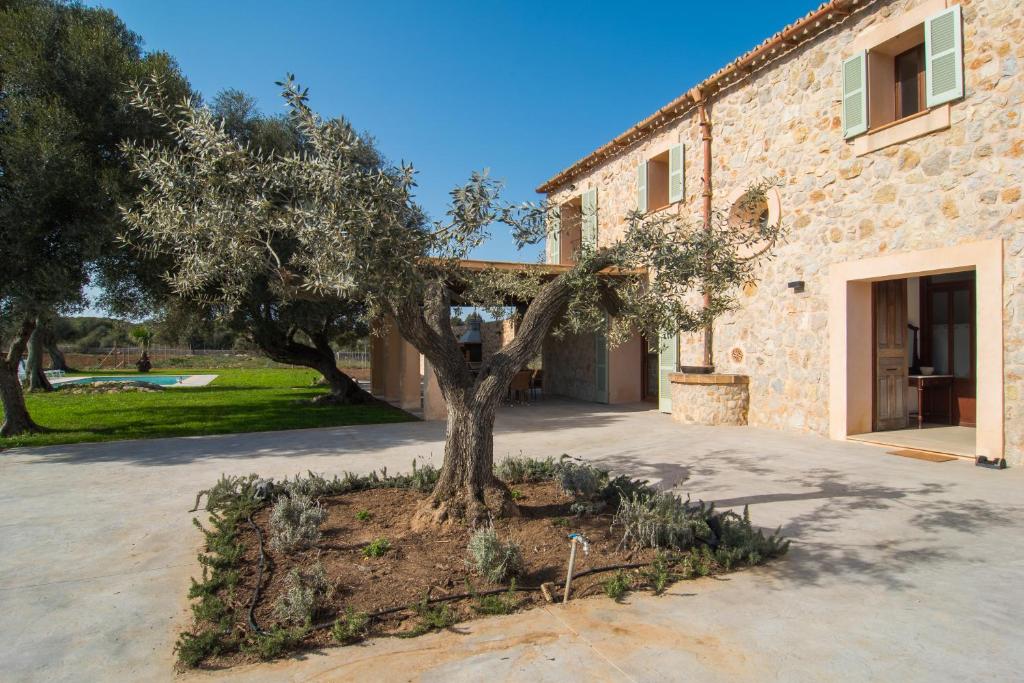 Finca Es Vidrier photo 2