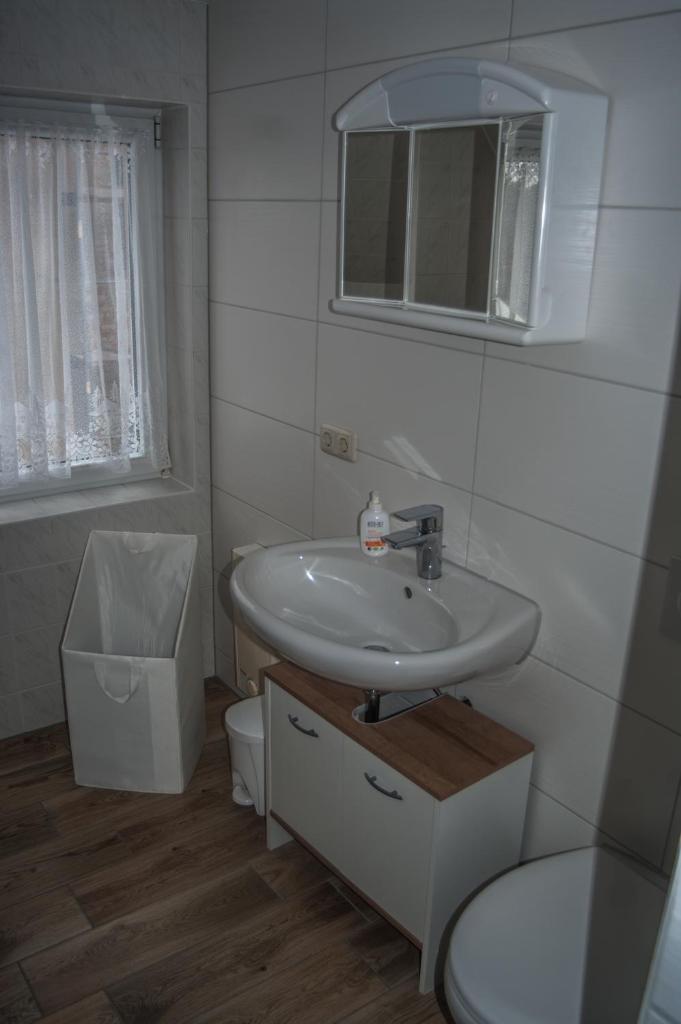 Pension Muldental Großbothen photo 4