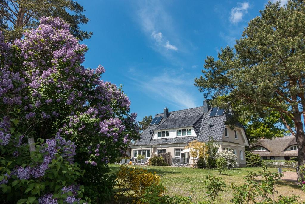Premiumhaus Bodden und Mehr-Brise photo 3