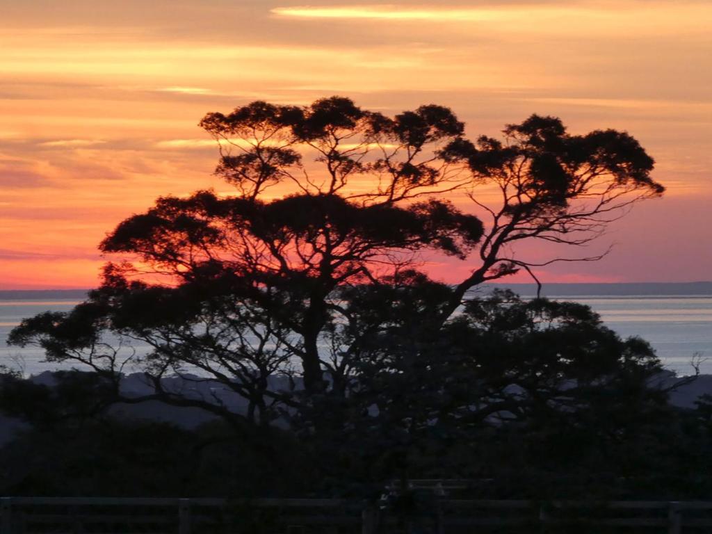 Red Hill Ridge photo 3