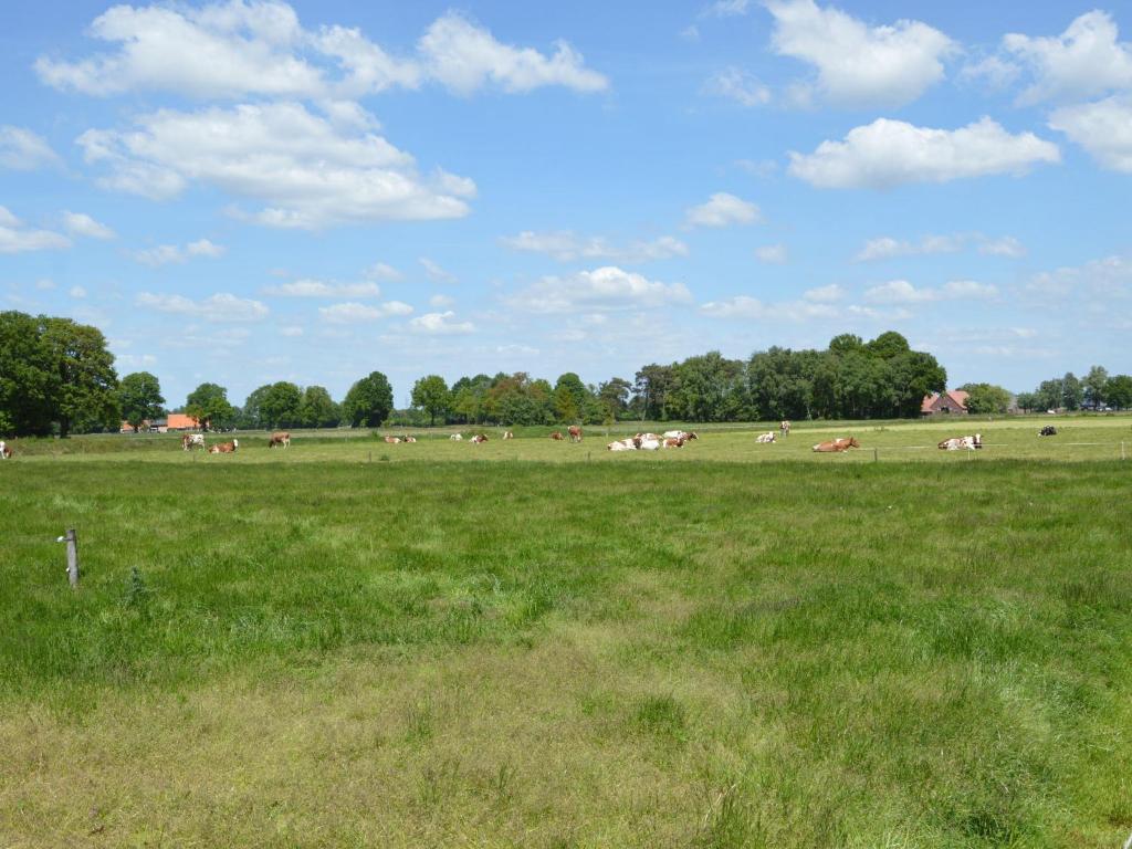 Pretty Farmhouse in Haaksbergen near Forest photo 3