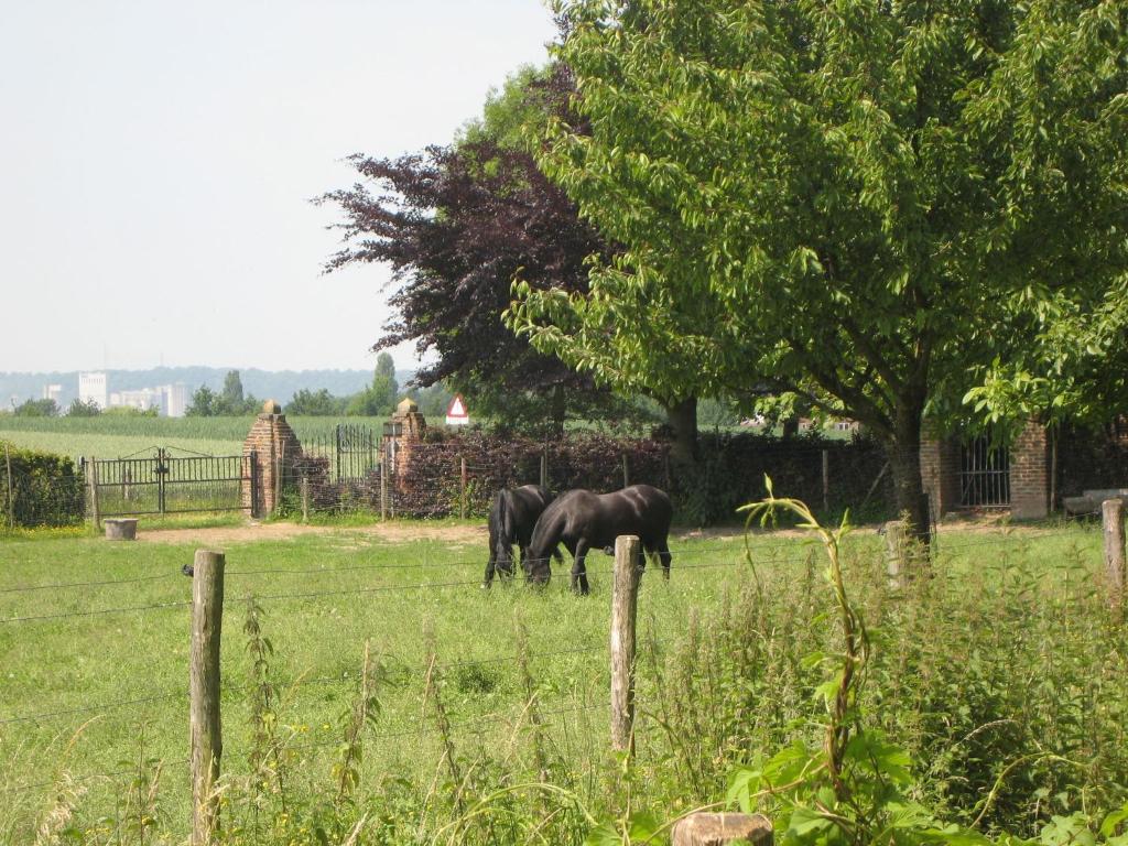 Spacious Villa near Town Center in Mesch photo 4