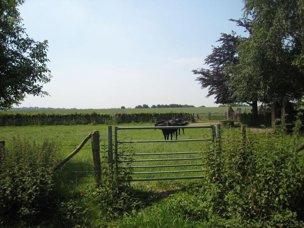Spacious Villa near Town Center in Mesch photo 3