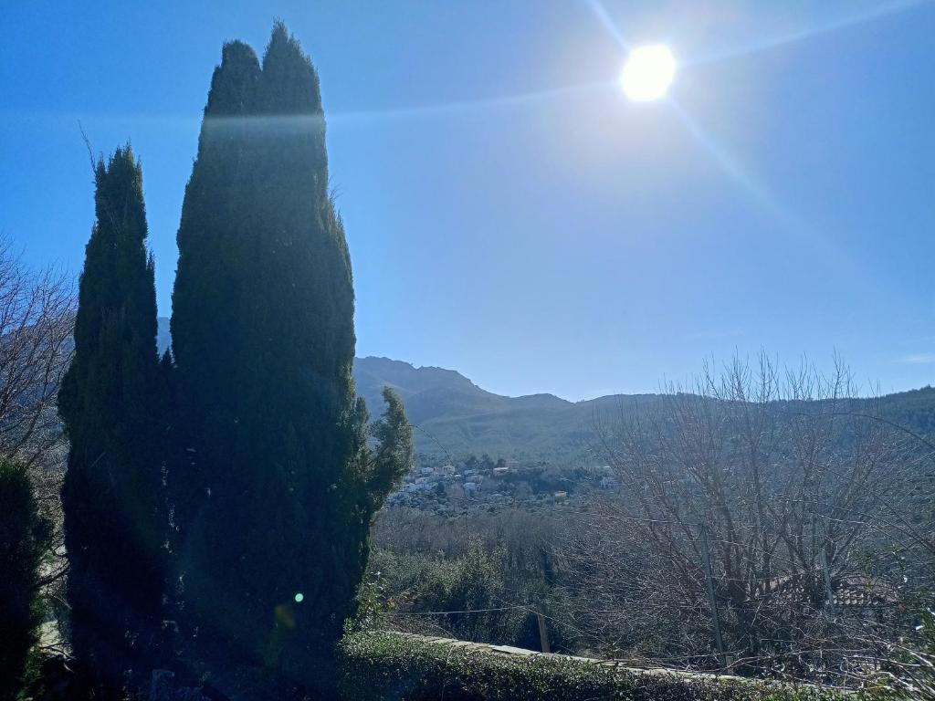 Villa Diana photo 4