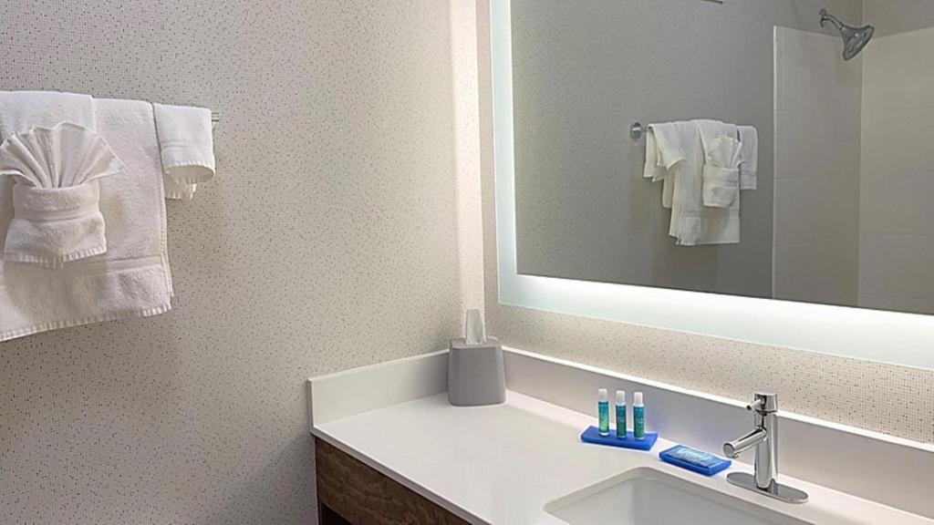 Holiday Inn Express Hotel & Suites Columbia-Fort Jackson, an IHG Hotel photo 1