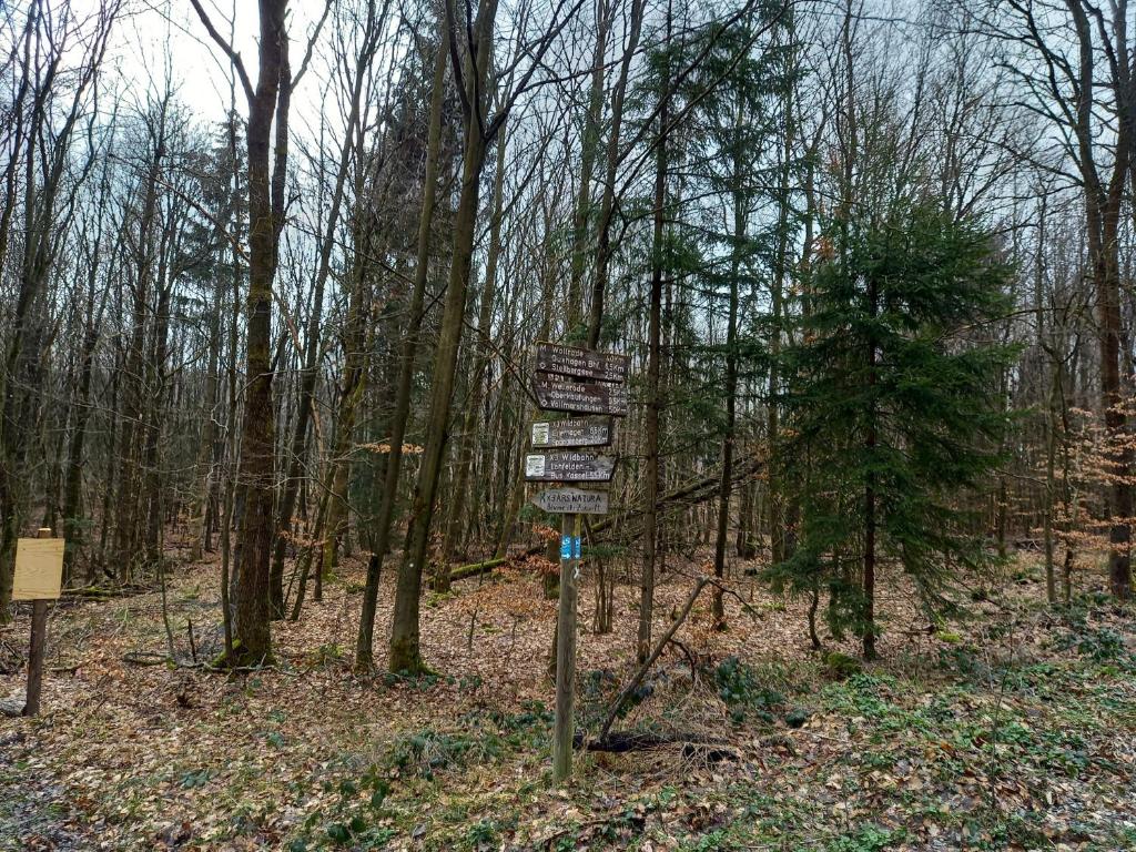 Wollröder Krug photo 2