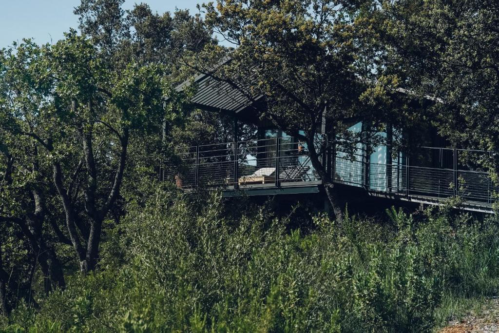 Domaine Monte Verdi Room Type - Superior Hut
