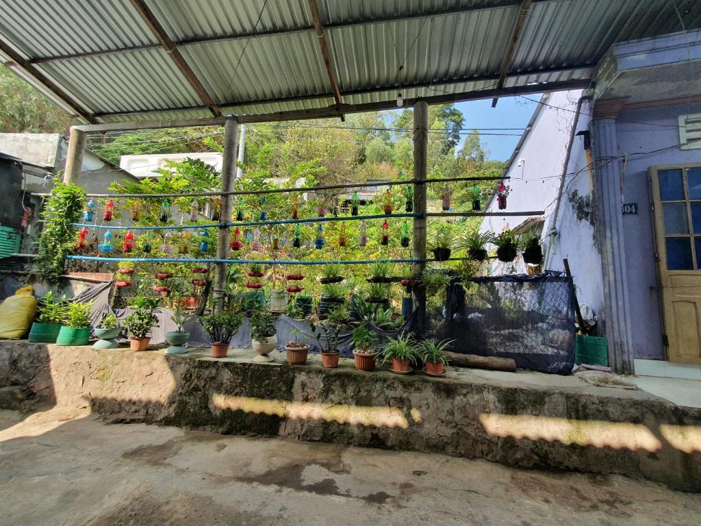 Homestay Nam Du Xanh