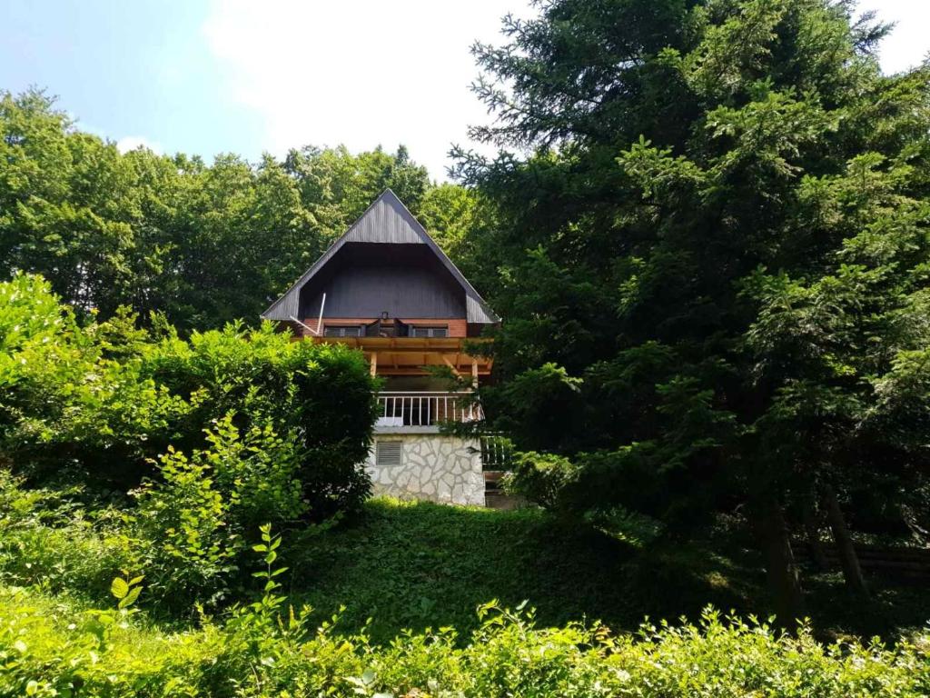 Sumska bajka photo 1