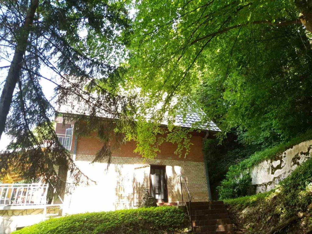 Sumska bajka photo 3
