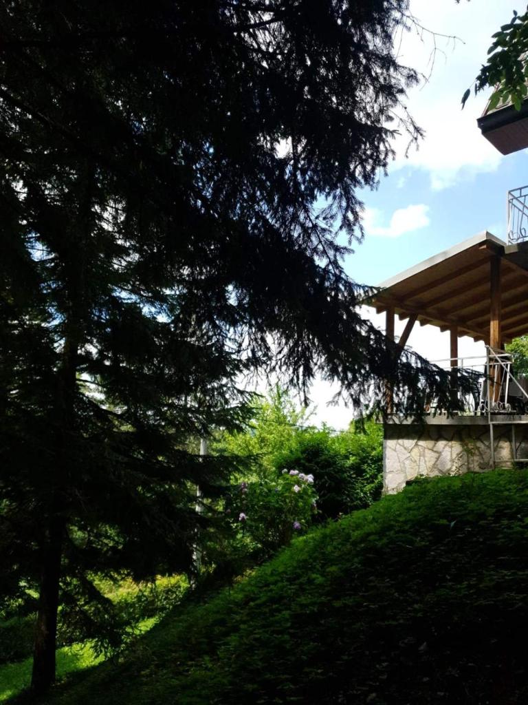 Sumska bajka photo 4