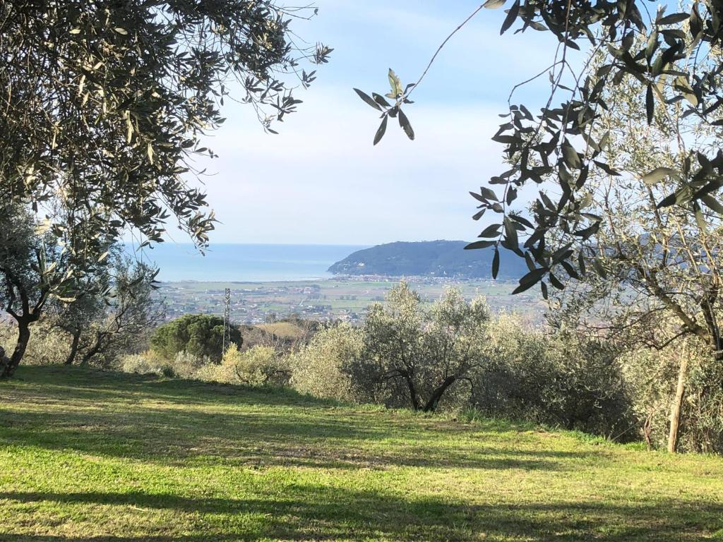 A CASA DI OLIVO