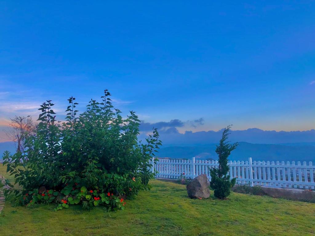 Cánh Đồng Mây Homestay