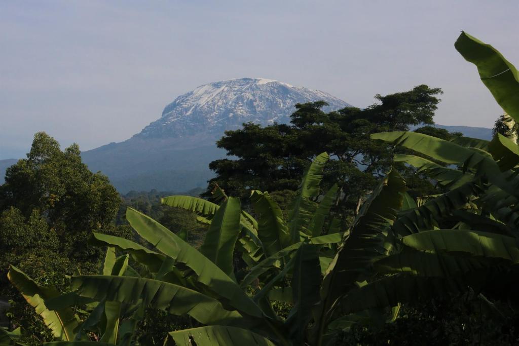 Shimbwe Meadows Guest House photo 4