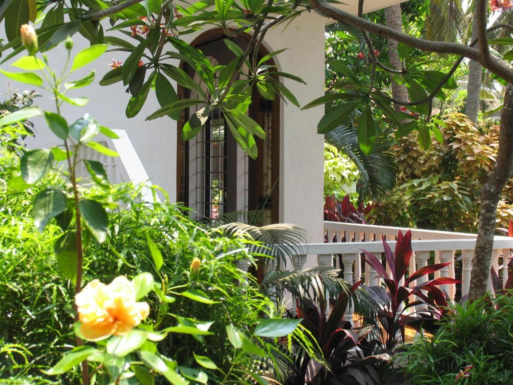 Сьюит (Люкс, вид на сад), Albuquerque Goa, Candolim