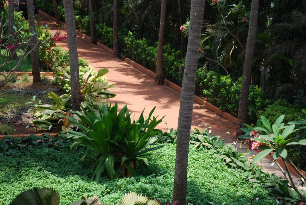 Сьюит (Люкс, вид на сад), Albuquerque Goa, Candolim