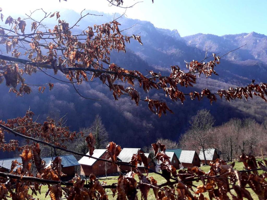 Grand Tara Rafting Resort photo 1
