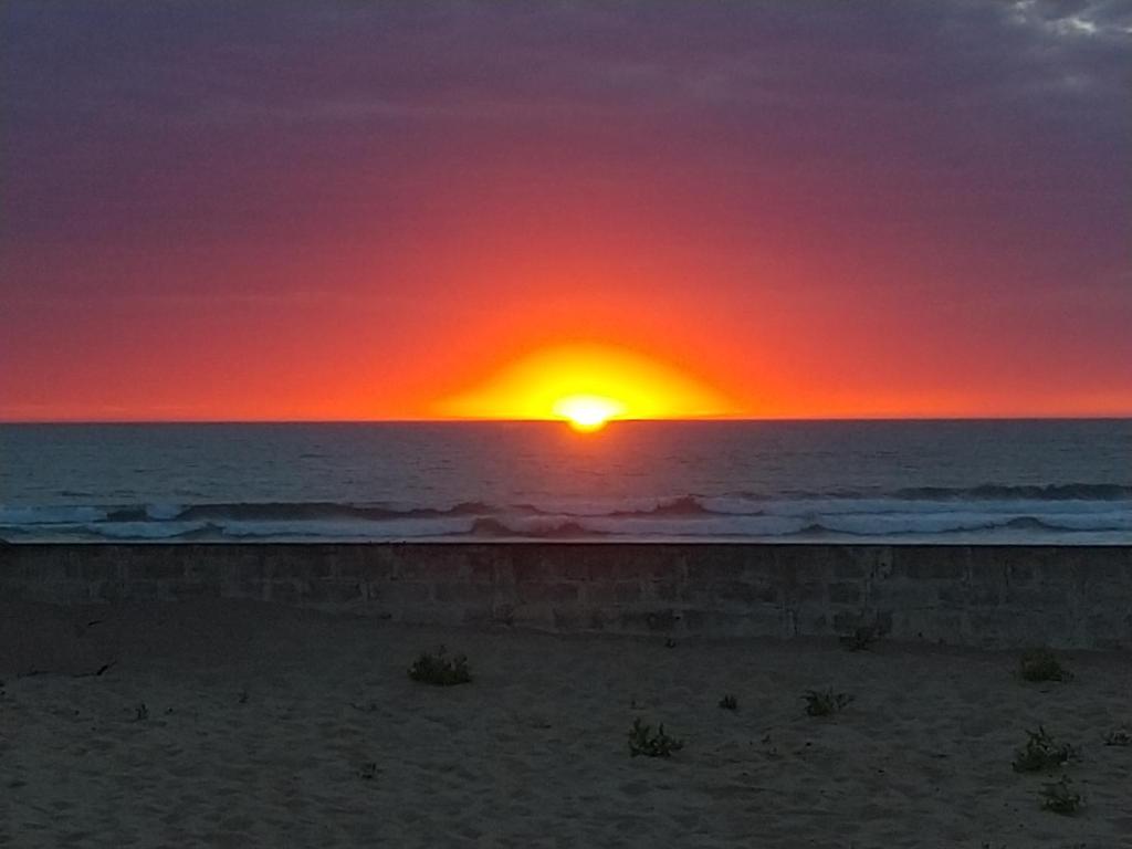 L'Océnoa photo 3