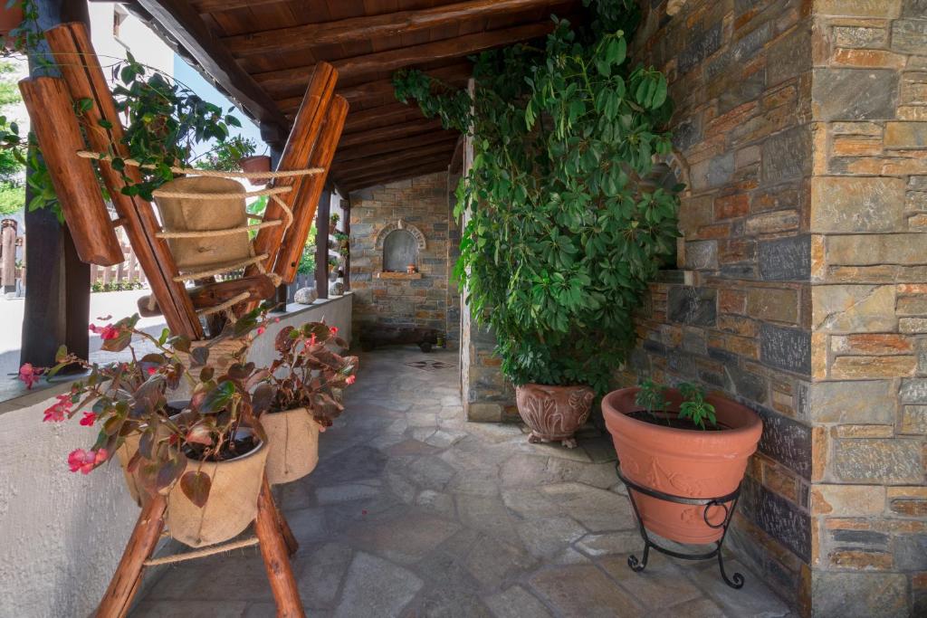 Villa Begonia by the sea photo 2