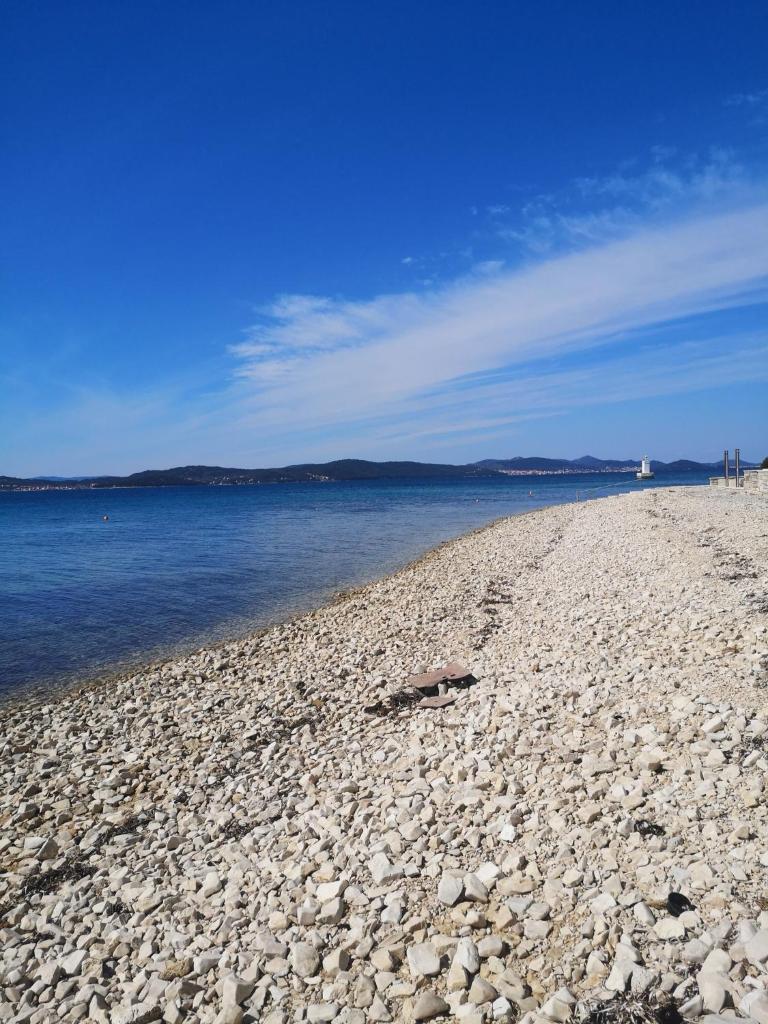 Apartman Darija photo 1