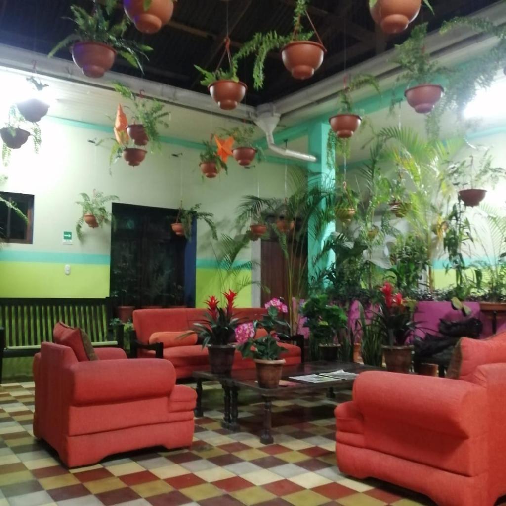 Hotel Kasa Kamelot Central photo 2