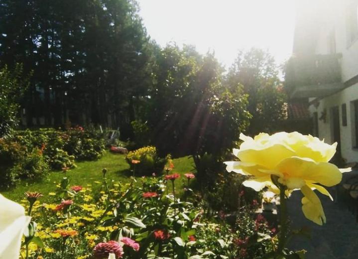 Apartmani Milić photo 3