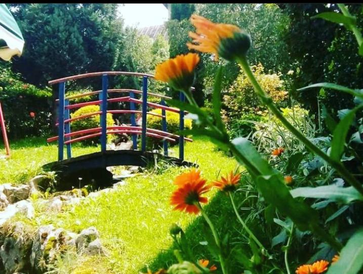 Apartmani Milić photo 2