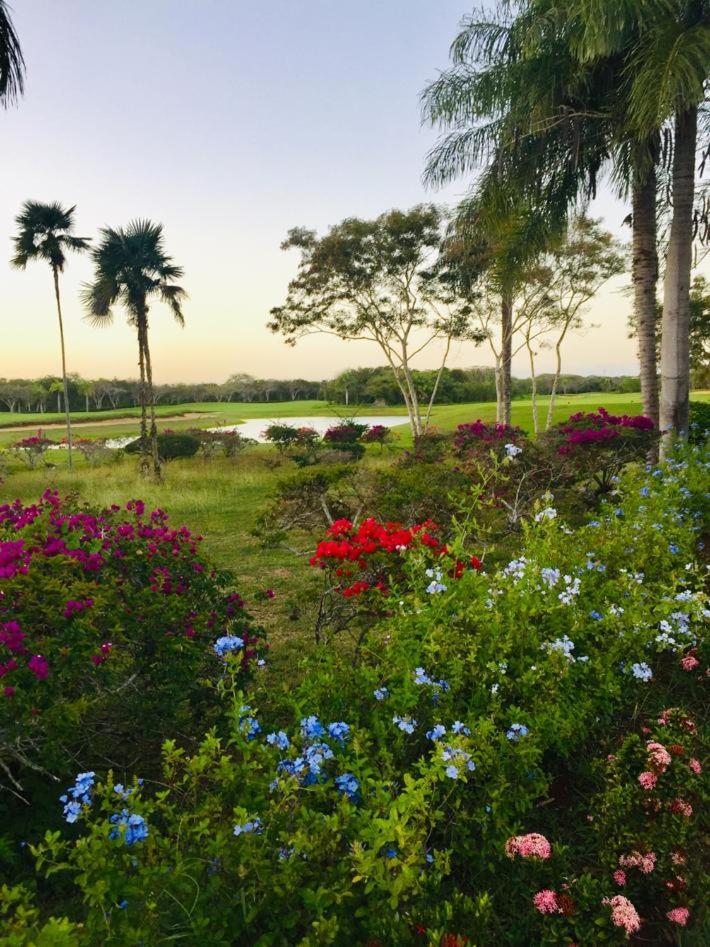 Los Corozos apartment M2, Guavaberry Golf & Country Club photo 1
