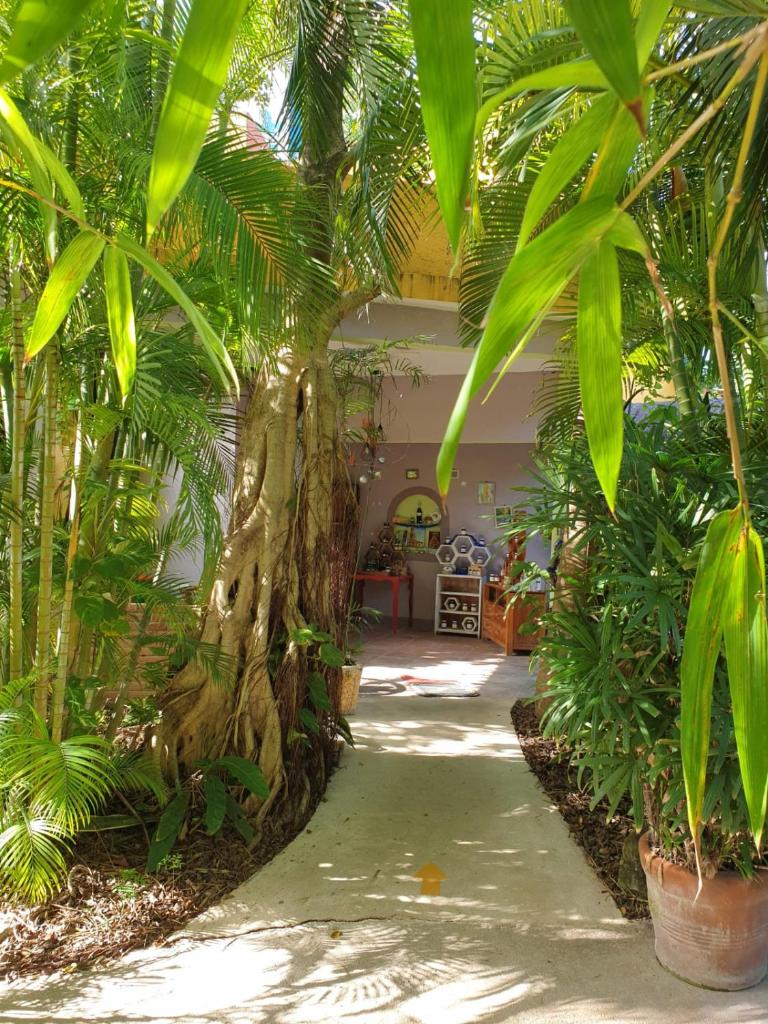 Casa Don Diego photo 4
