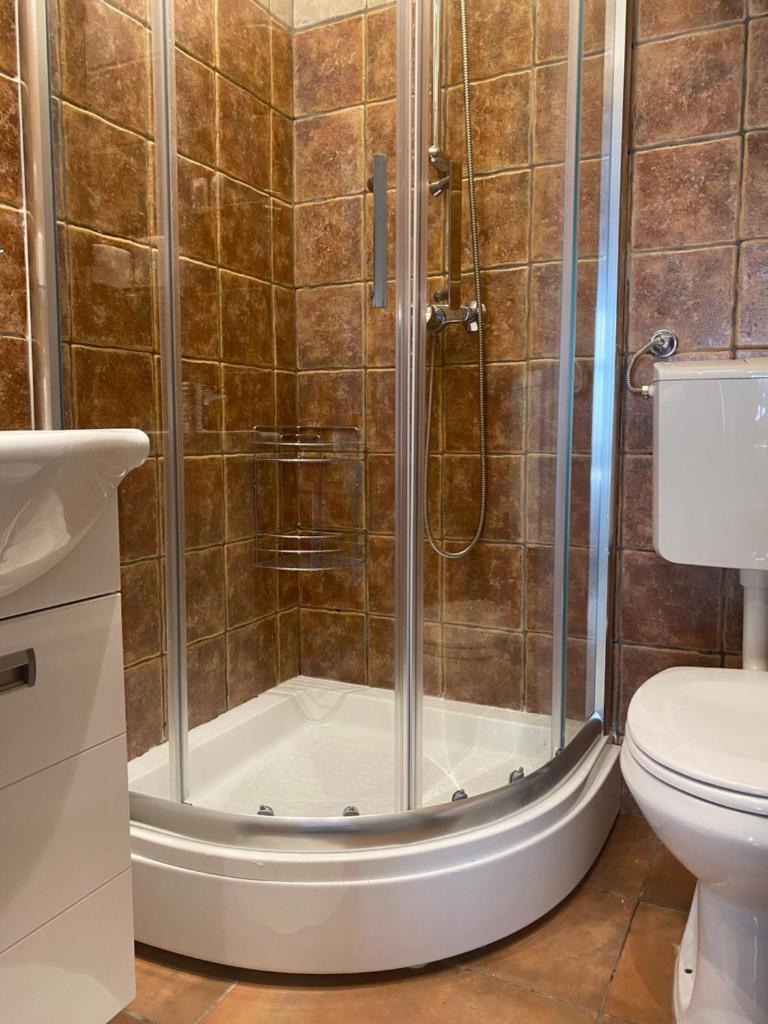 Апартаменты (Апартаменты с 1 спальней с диваном-кроватью.), Apartments Jankovic