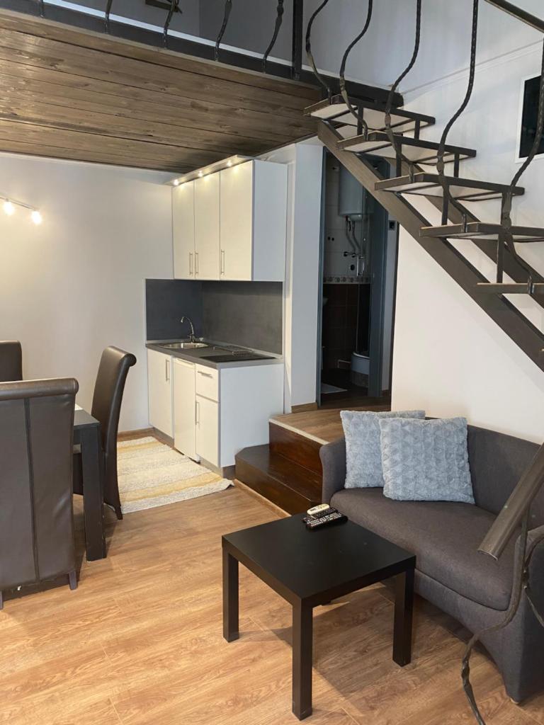 Апартаменты (Апартаменты с 1 спальней с диваном-кроватью.), Apartments Jankovic