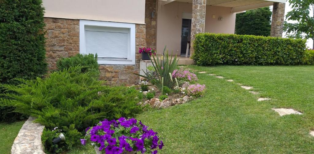 Villa Achilleos photo 2
