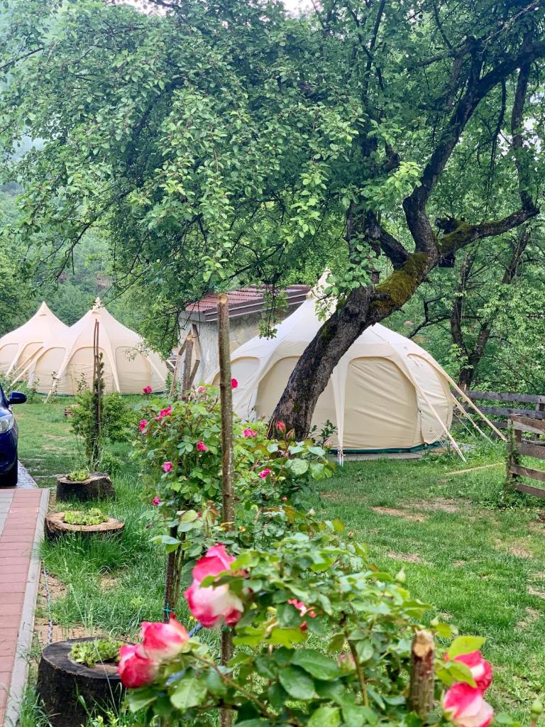 Glamping Zvjezdana dolina photo 3
