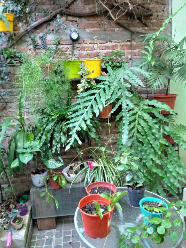 Jardin Secreto photo 2