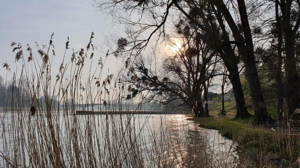 Les Gites Du Moulin Du Port photo 3