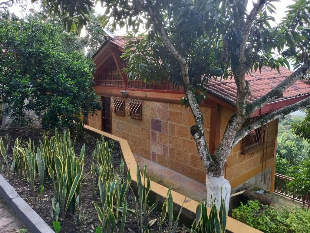 ECOCABAÑAS SAN PEDRO photo 1